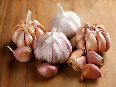 garlic