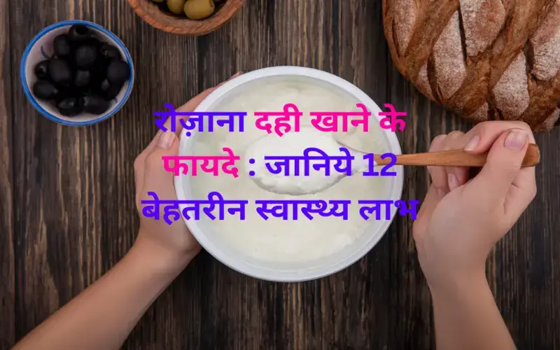 eating-curd-is-beneficial-for-health