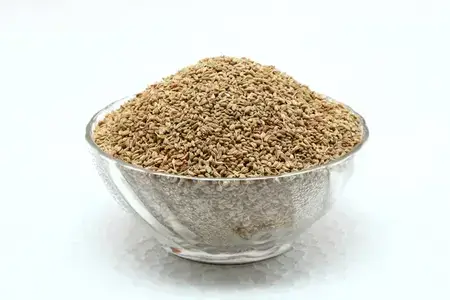 carom-Seeds-balance-the-stomach-acid-levels