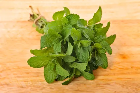 mint-provides-coolness-to-the-stomach