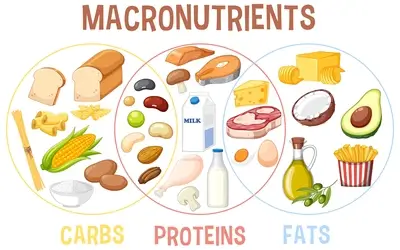 the-macronutrient-ratio-matters-more-than-the-quality-of-the-diet