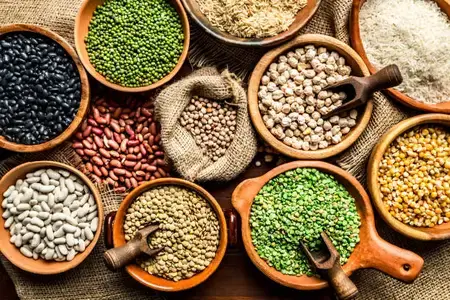 various-types-of-leguminous-seeds