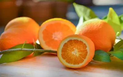 citrus-fruits